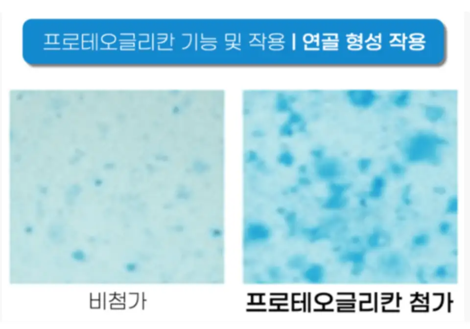 프로테오글리칸 효능 가격 추천