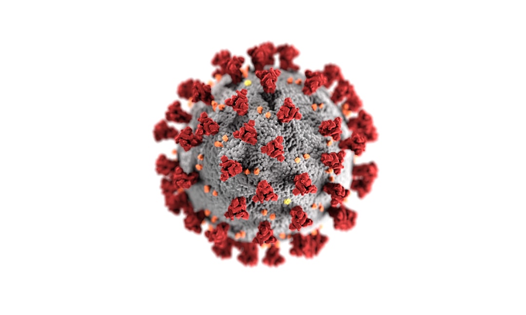 Hepatocyte
