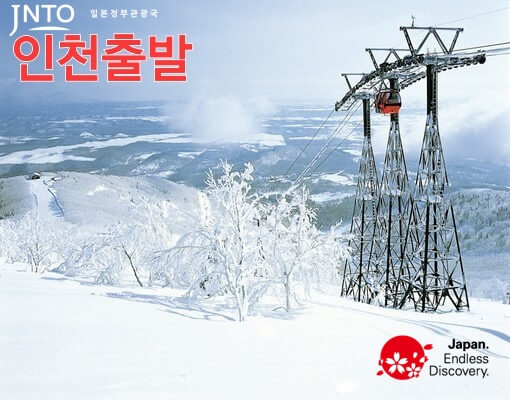 일본항공권특가