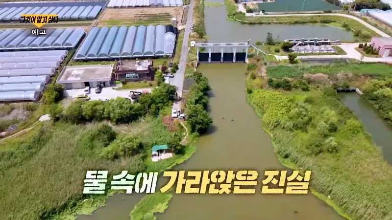 그알 그것이알고싶다 1312회 부산 동백항 고의 차량추락 혼자 산 보험 살인혐의 친오빠 숨진채 발견 동거녀 구속 미스테리 제2의 가평 이은해인가