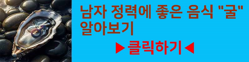 남자 정력에 좋은 음식 굴 영양 효과 부작용 섭취 방법 알아보기