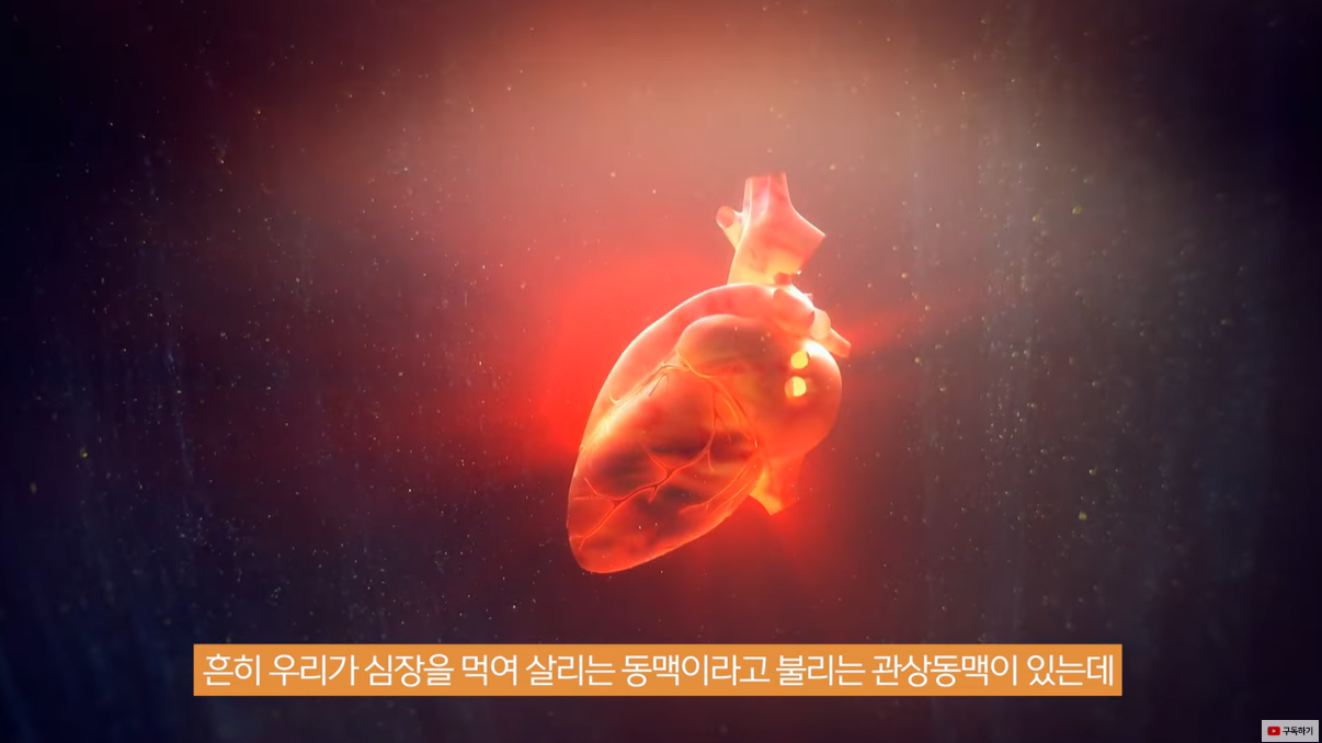 심장을 먹여 살리는 동맥, 관상동맥