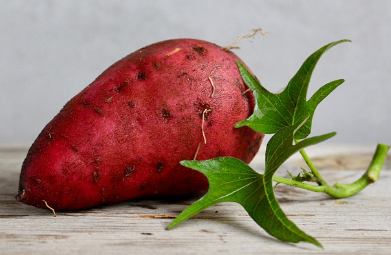 고구마 찌는법, 고구마 삶는법, 고구마 칼로리