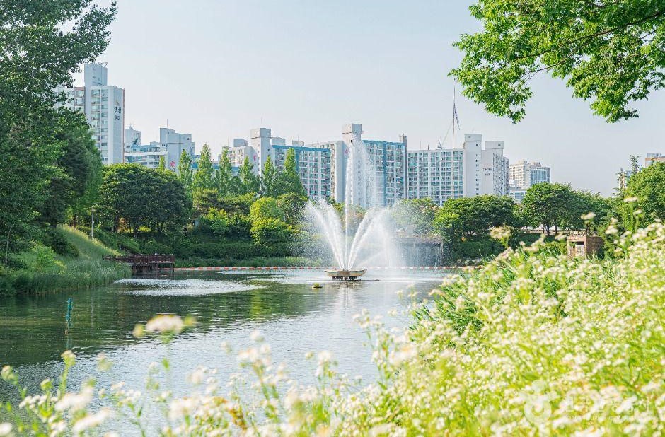 구리 장자호수공원 완벽 가이드: 아름다운 도심 속 생태 오아시스