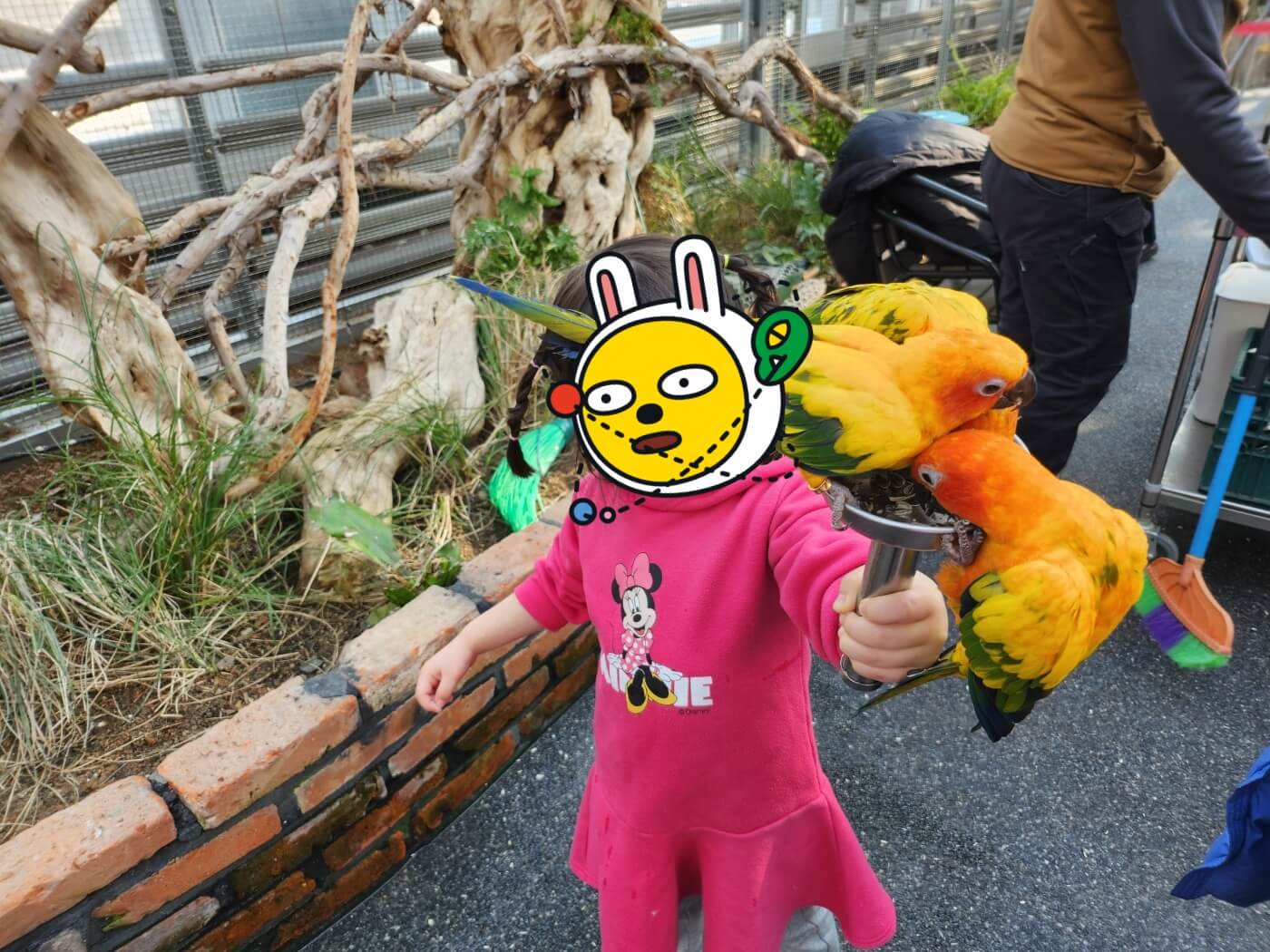 가평 베고니아 정원