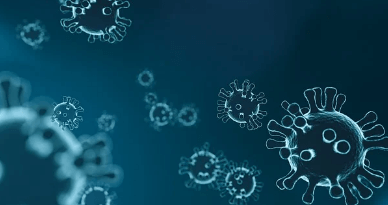 코로나 증상 순서