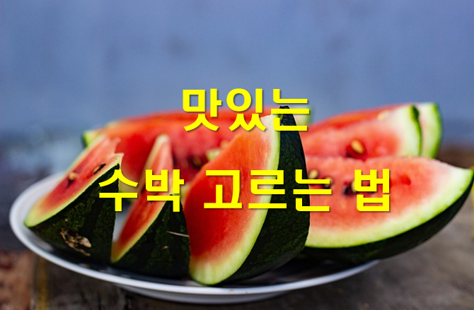 맛있는 수박