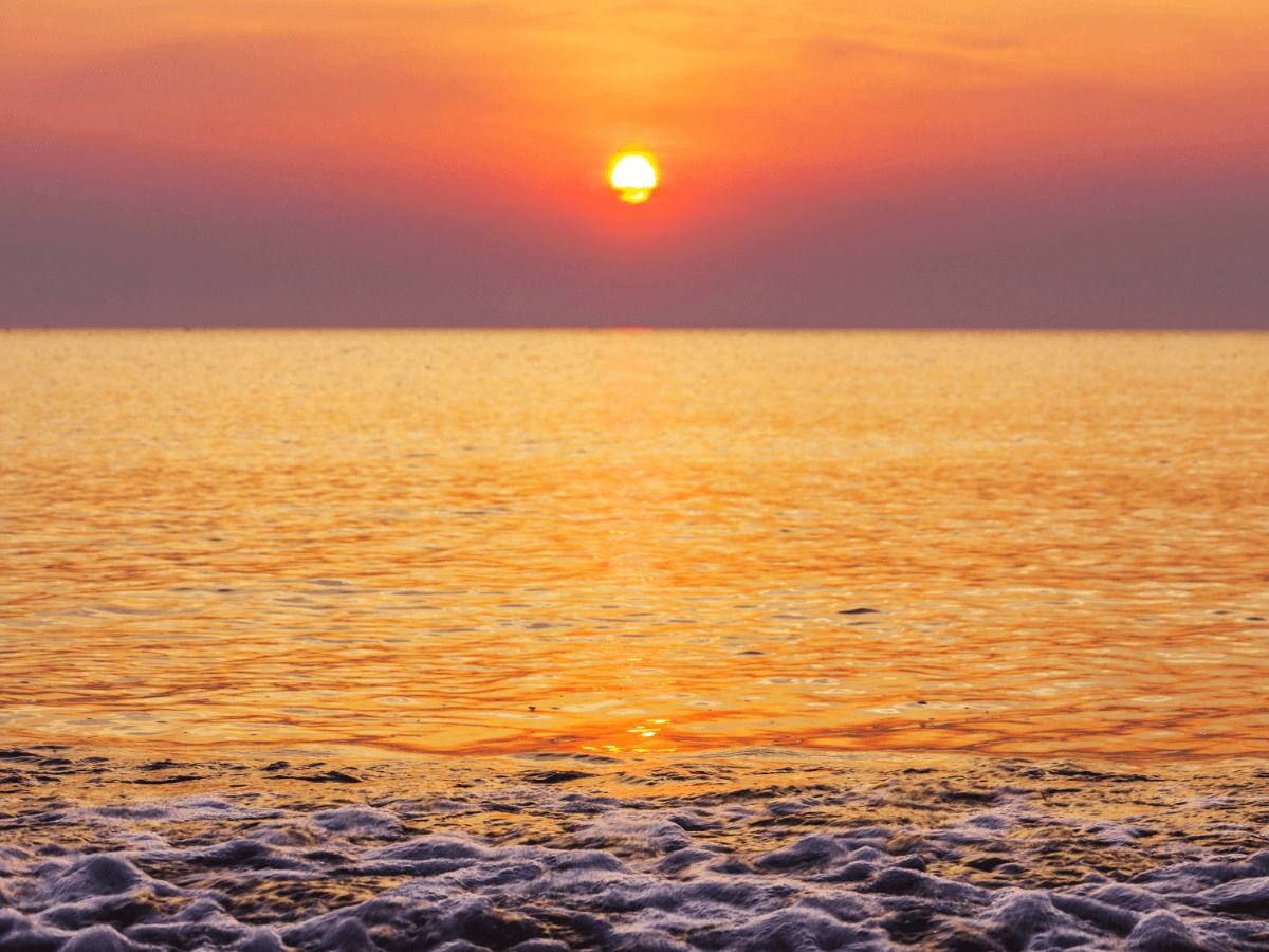 1월 1일 일출 여행