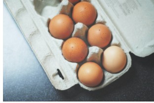 여름철 식중독 위험 음식