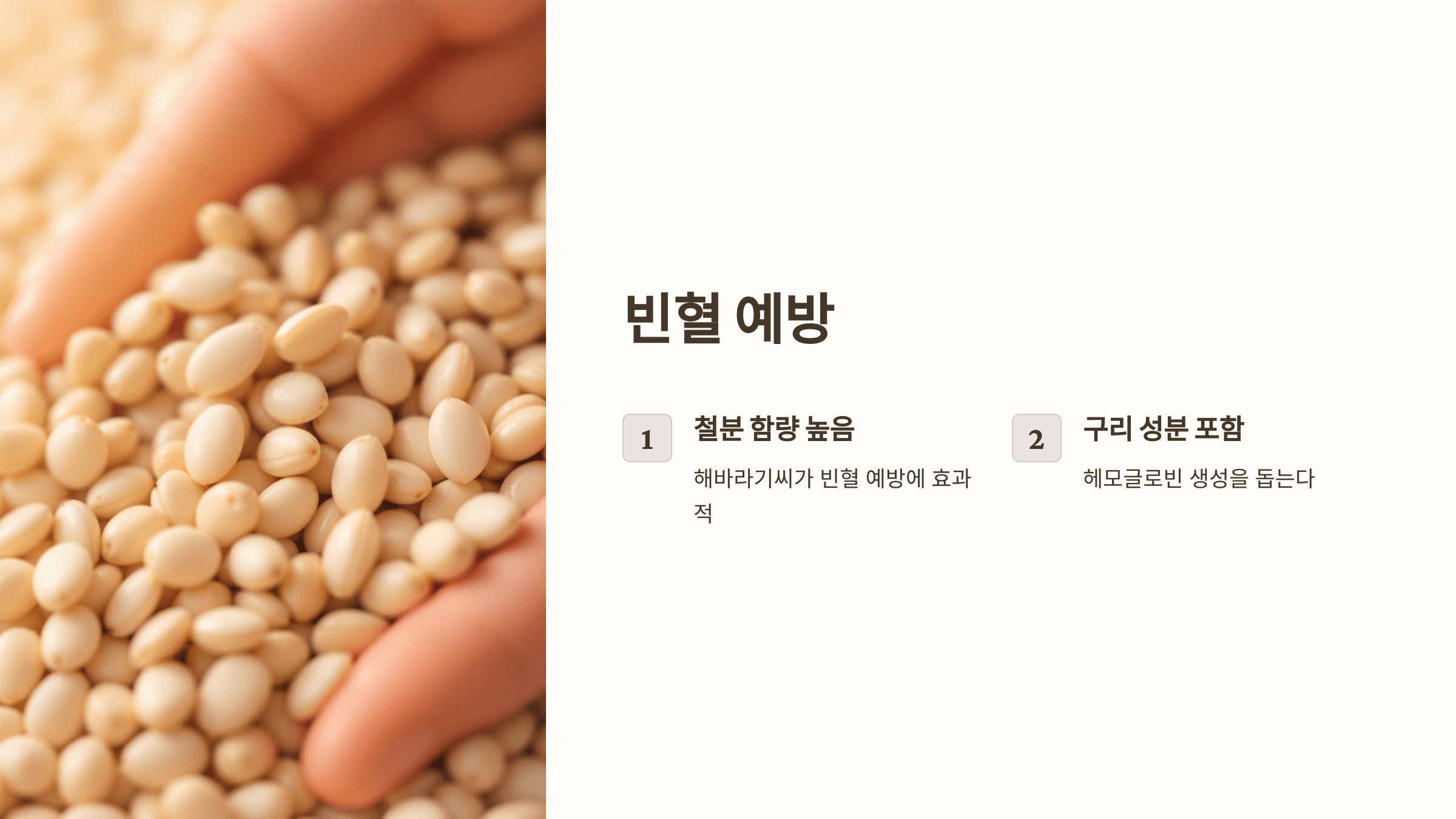 해바라기 사진입니다.