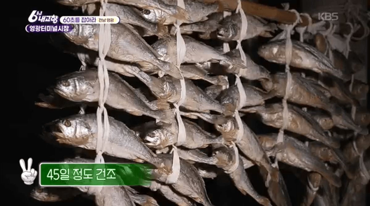 [6시내고향]전남 &amp;#39;영광터미널시장&amp;#39; 굴비 부세 홍어 모싯잎송편 택배 구매 연락처 정보