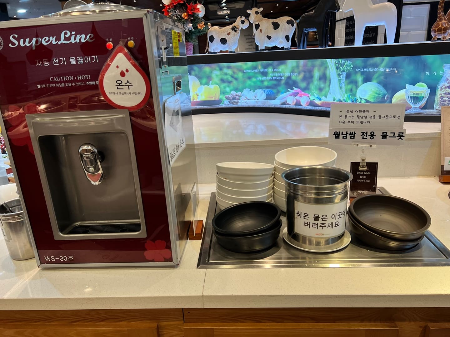 판교 샤브샤브&amp;#44; 채선당플러스 맛집후기