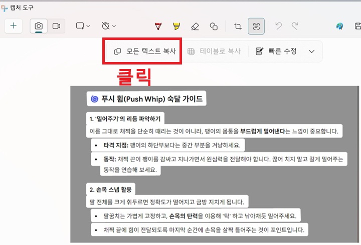 캡처 도구 상단에 모든 텍스트 복사 메뉴 보임