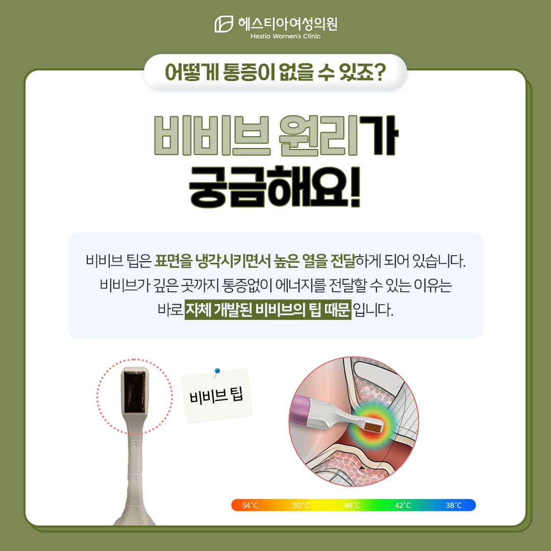 비비브가 어떤 원리로 진행되는건가요?