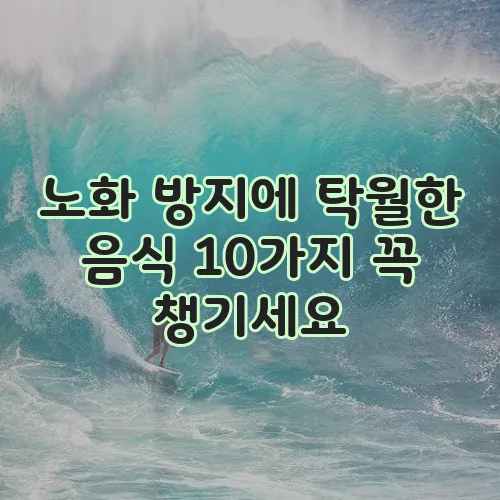 노화 방지에 탁월한 음식 10가지 꼭 챙기세요