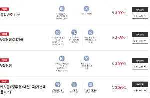 KT 부가서비스