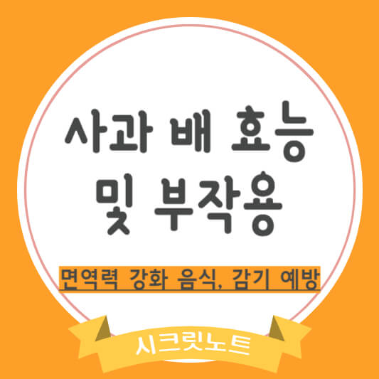 사과 배 효능