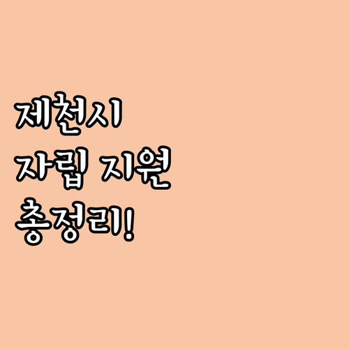 2025 제천시 청소년 자립 지원: ..