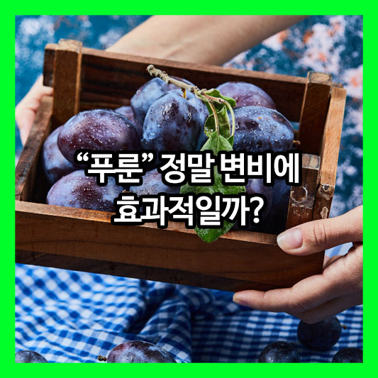 "천연 변비약"이라고 불리는 푸룬, 정말 변비에 효과적일까?