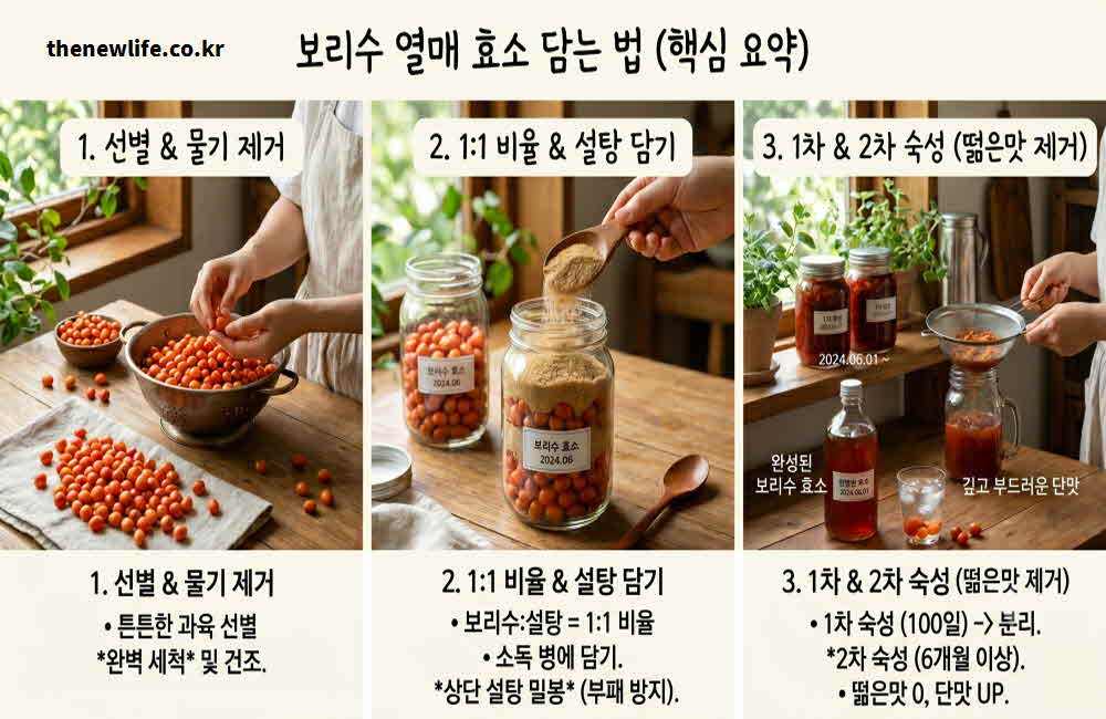 보리수 열매 효소 담는 법