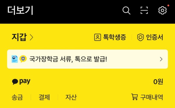 카카오톡 지갑 화면