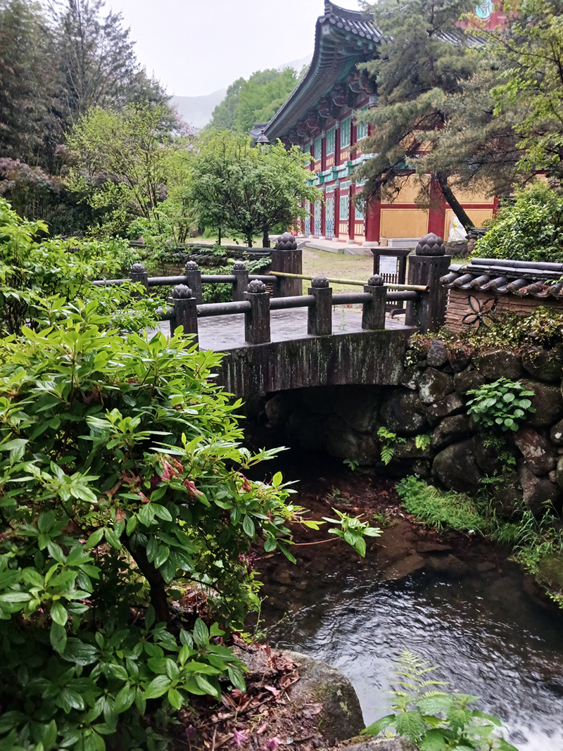 경남 쌍계사 템플스테이 신청 방법