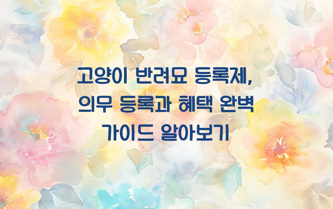 고양이 반려묘 등록제, 의무 등록과 혜택 완벽 가이드