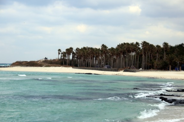 봄에 떠나기 좋은 여행지