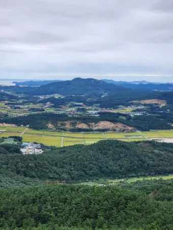 봄꽃 여행 성지 충남 서산 명소 BEST5_24