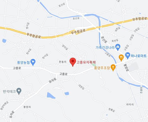 고흥유자축제장소