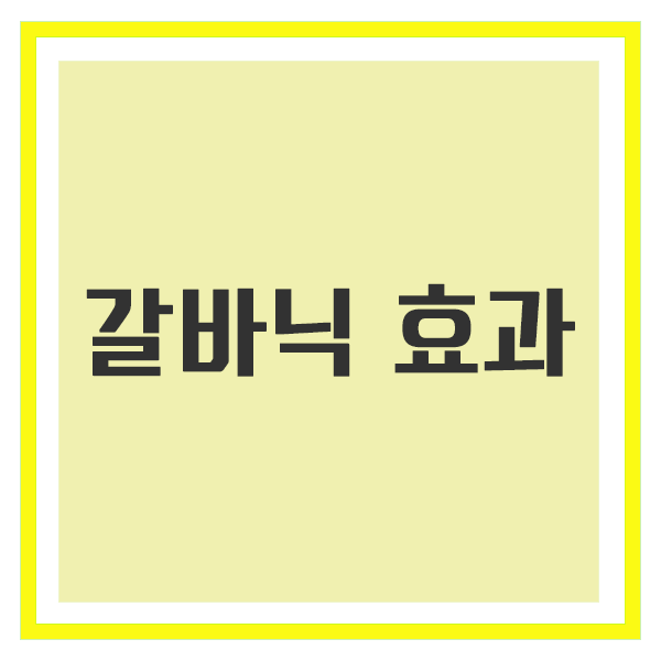 갈바닉 효과
