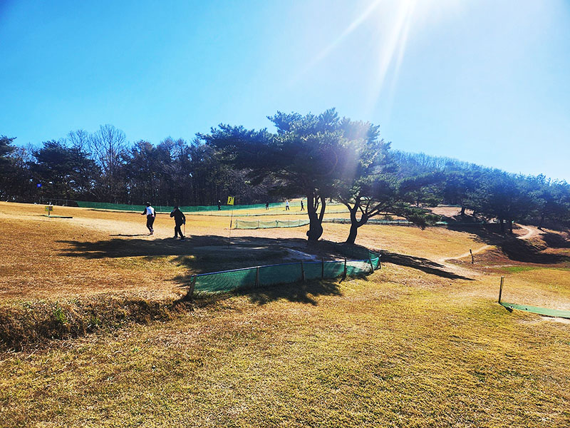 경주 화랑의 언덕 파크골프장. 경북 경주시 산내면 내일리 산261-2