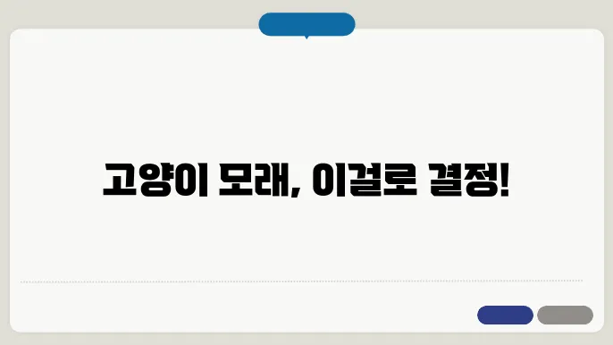 고양이 화장실 모래 추지 없는 갓1비 좋은 제품 TOP3 후기