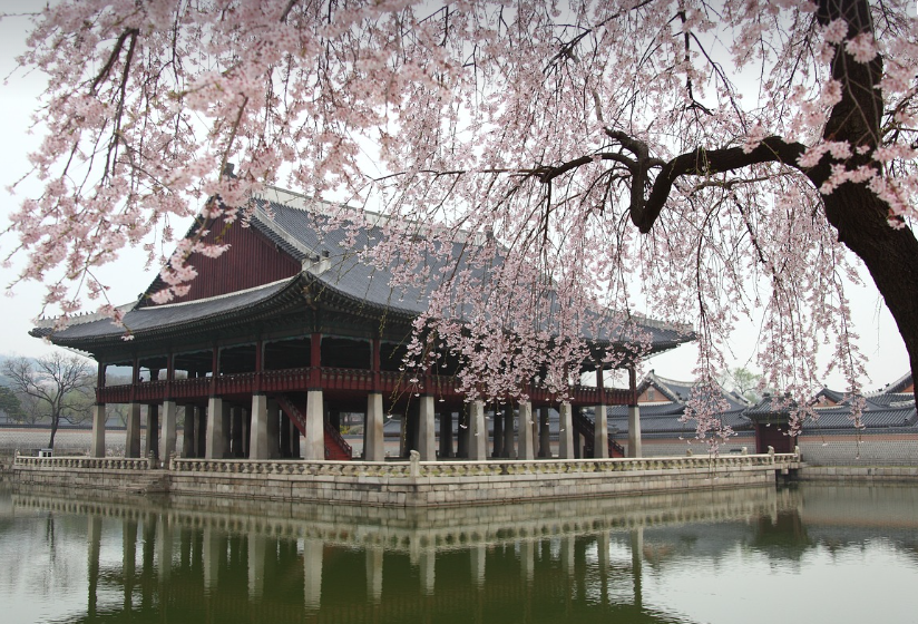 한복입고 경복궁 데이트 (서울 핫플, 전통 감성)