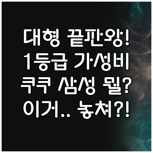 30평형 대형 공기청정기 선택 가이드..