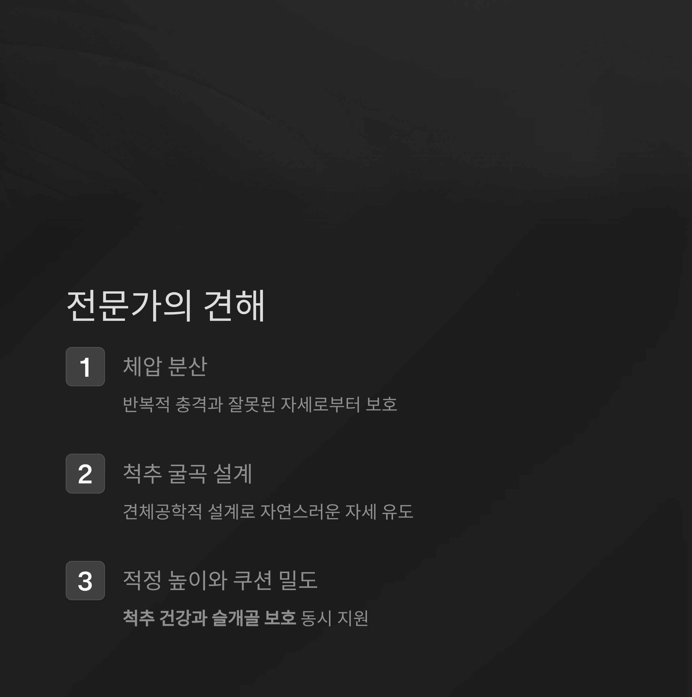 전문가의 견해