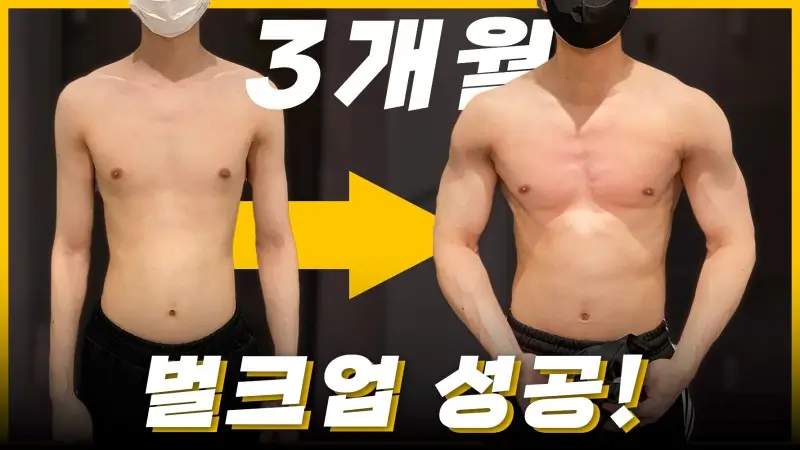 벌크업