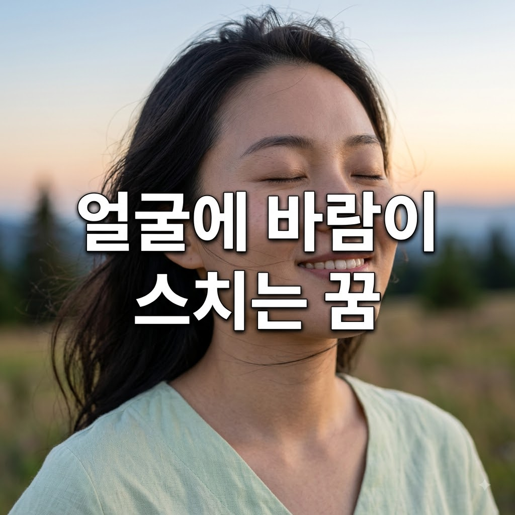 얼굴에 바람이 스치는 꿈