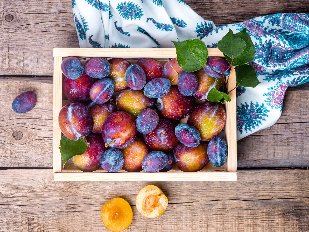 자두-여름-달콤한과일