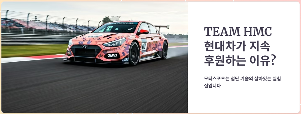 TEAM HMC 현대차가 지속 후원하는 이유?