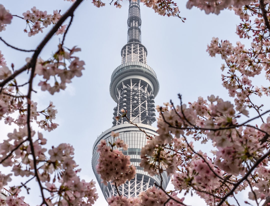 Namsan