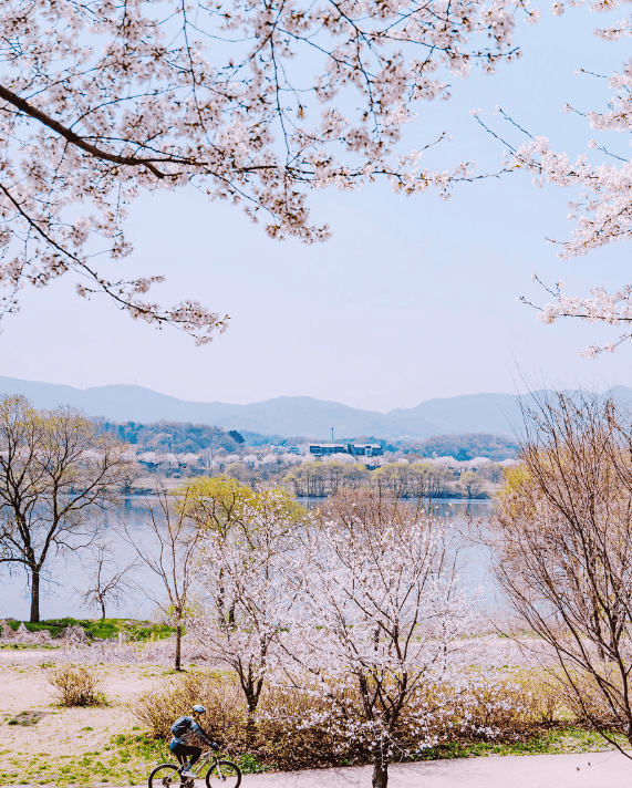 갈산누리 봄 축제