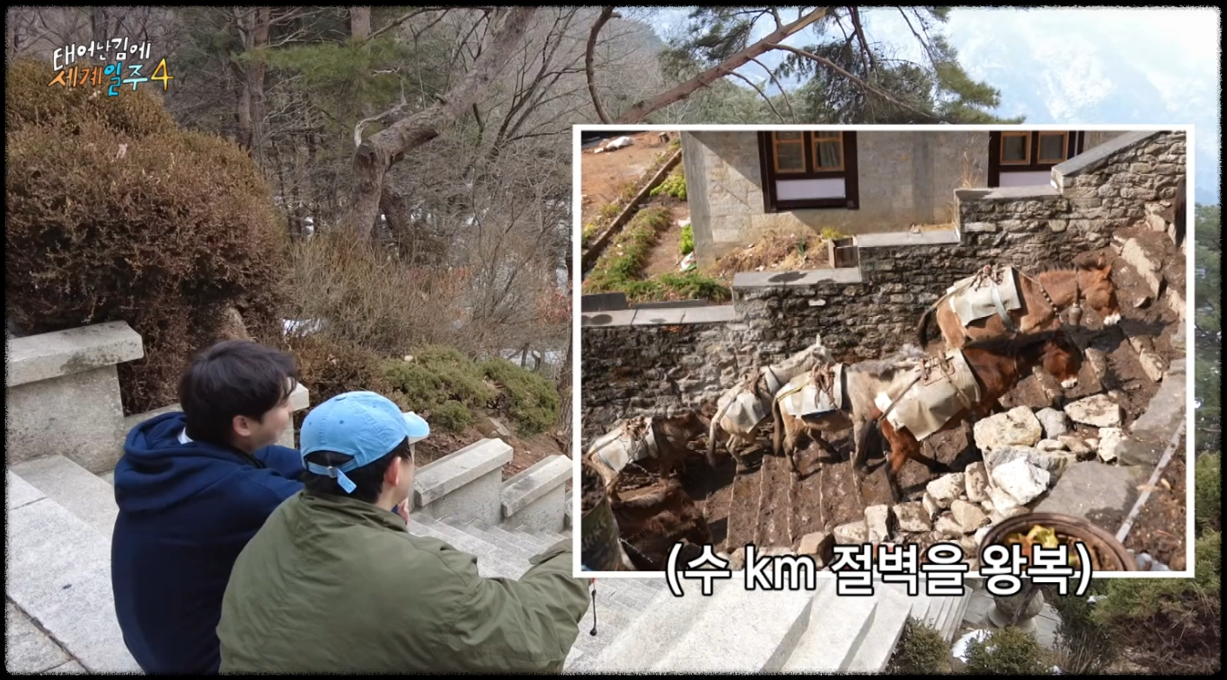 태어난김에 세계일주 시즌4 관련 사진