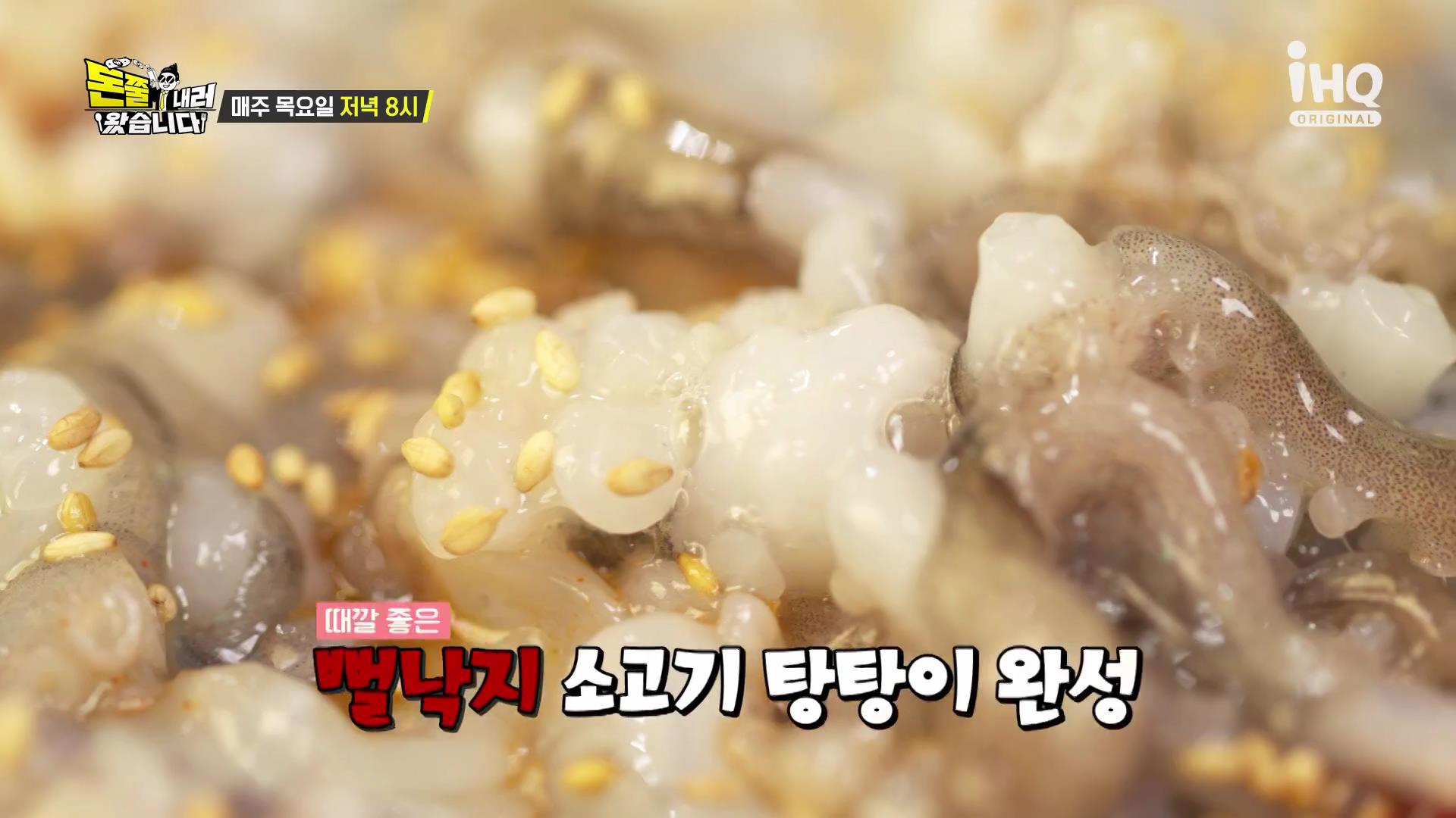 돈쭐내러왔습니다 오늘방송 목포 뻘낙지 낙지 볶음 맛집