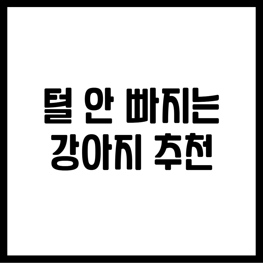 털 안 빠지는 강아지