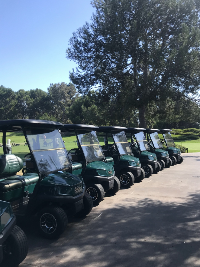 펠리컨힐 전동 카트