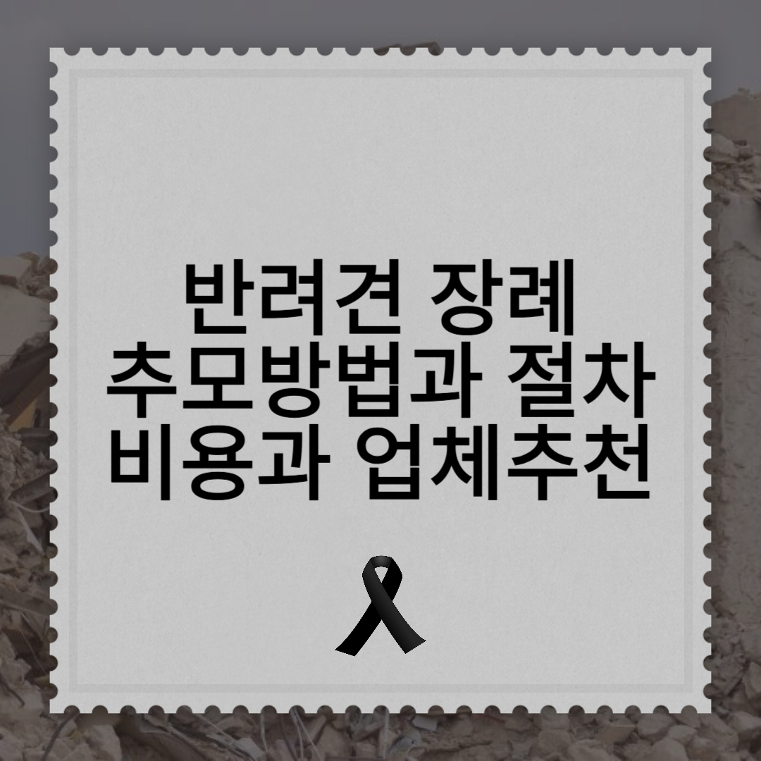 반려견 장례: 마지막 길을 함께하는 방법 (장례절차,비용, 장례업체 추천)