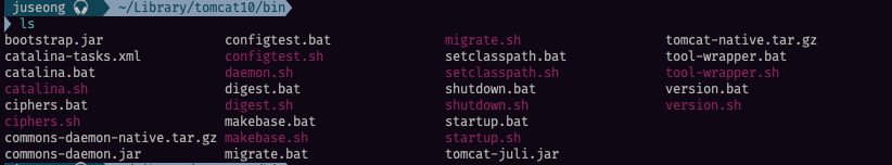 tomcat10 bin list
