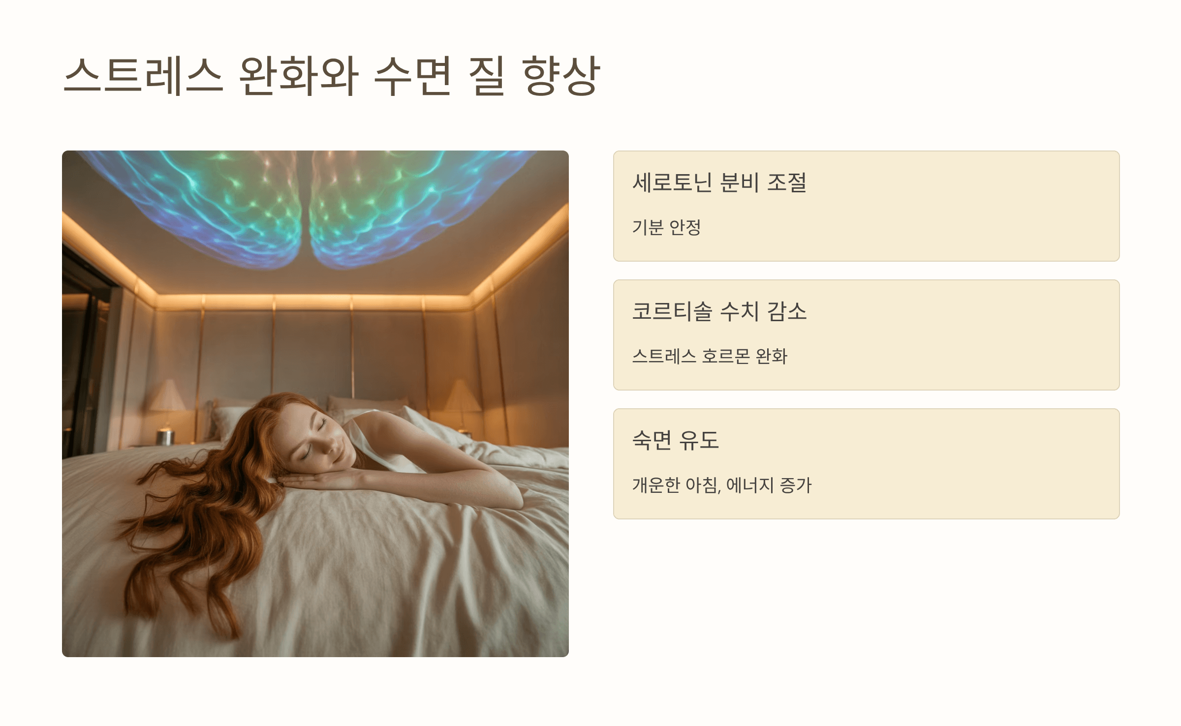 파비플로라 사진입니다.