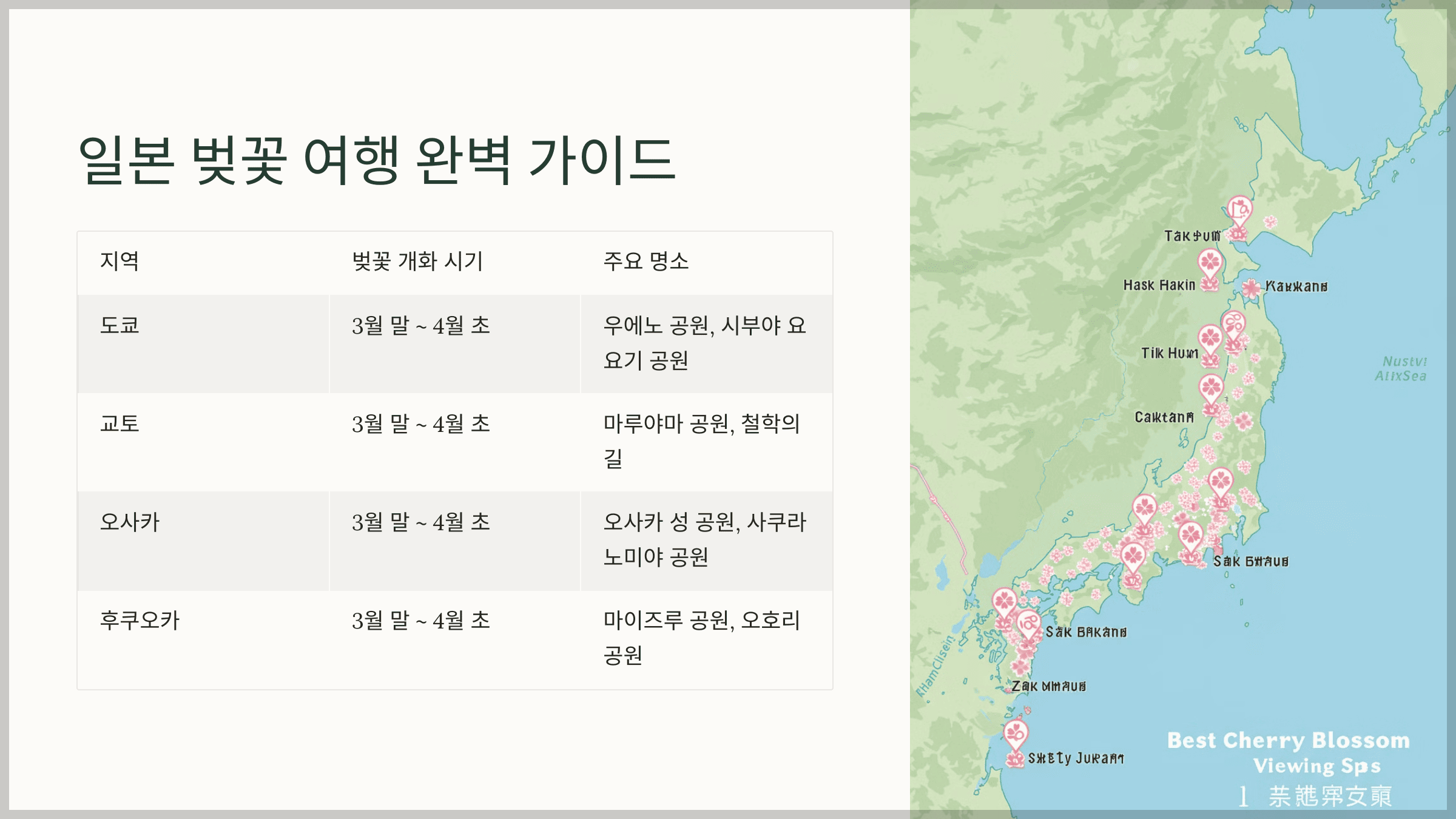 일본 벚꽃 여행 완벽 가이드